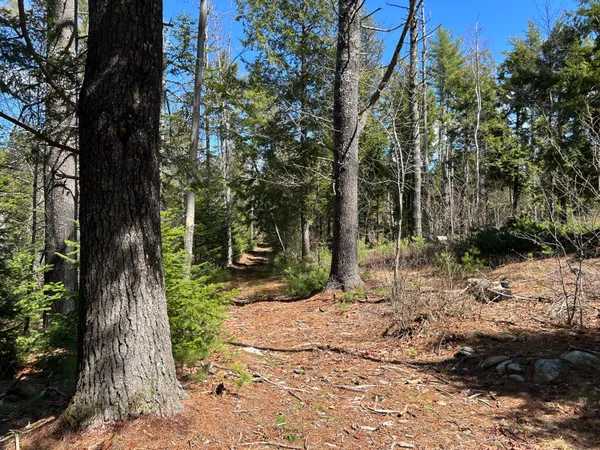$195,000 | Lot 1 Waldoboro Road, Washington, ME 04574