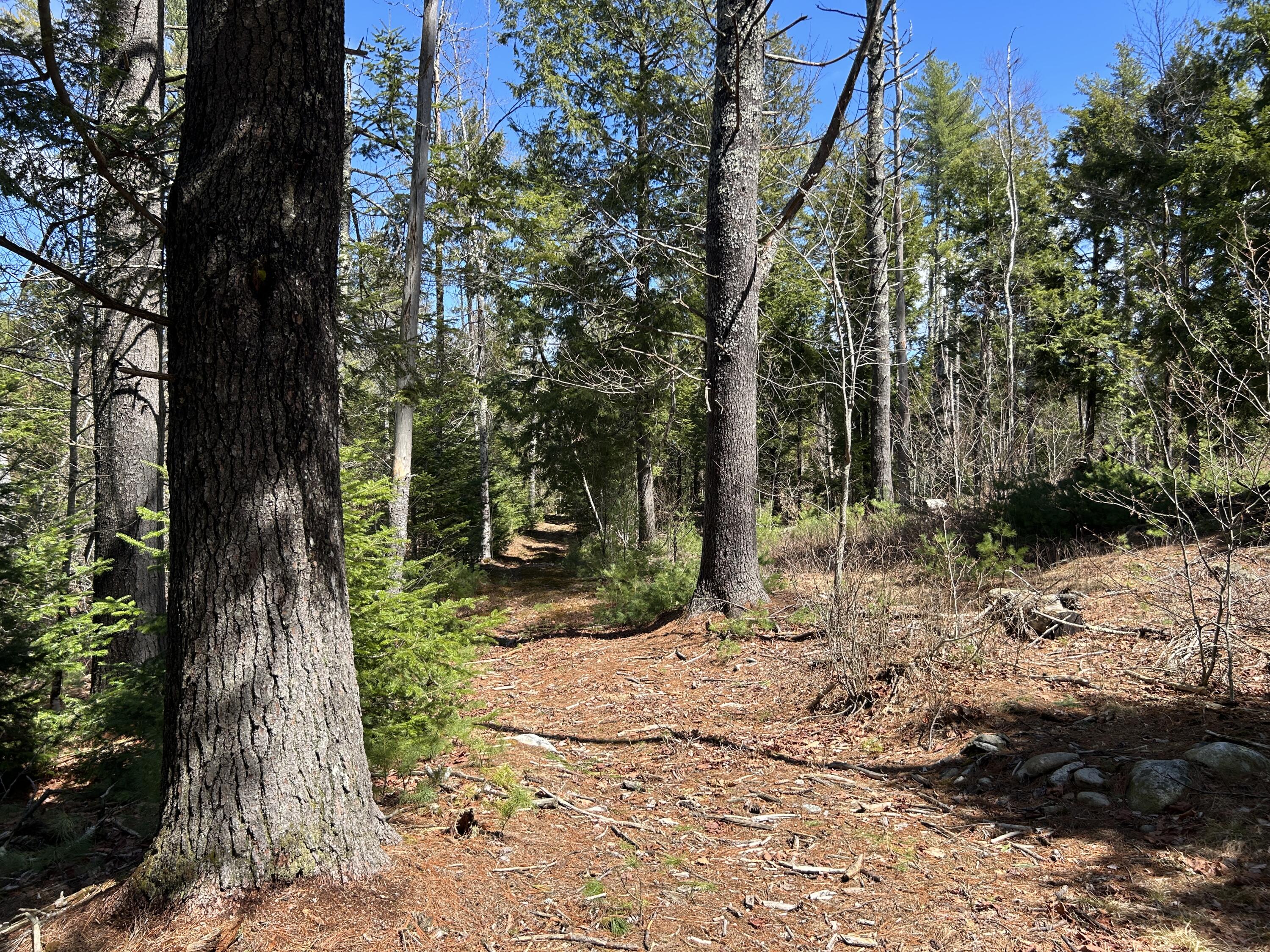 Lot 1 Waldoboro Road Washington, ME 04574 - Photo 21 of 32 IMG_7554