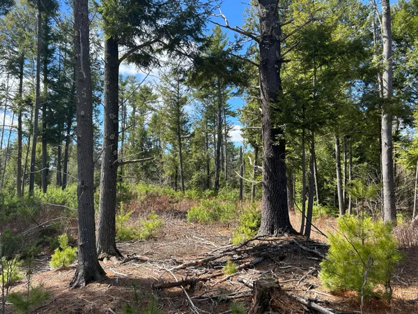 $195,000 | Lot 1 Waldoboro Road, Washington, ME 04574