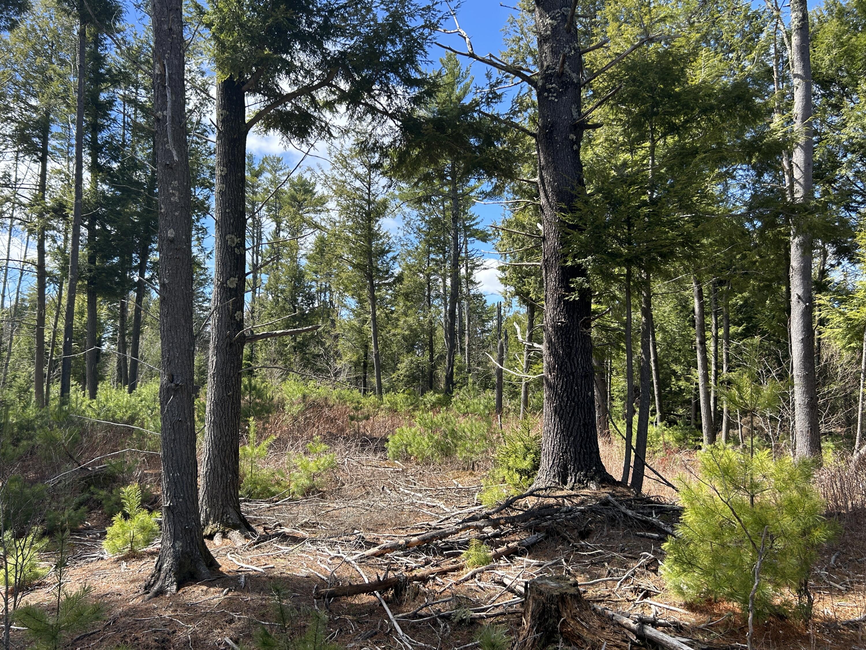 Lot 1 Waldoboro Road Washington, ME 04574 - Photo 22 of 32 IMG_7558