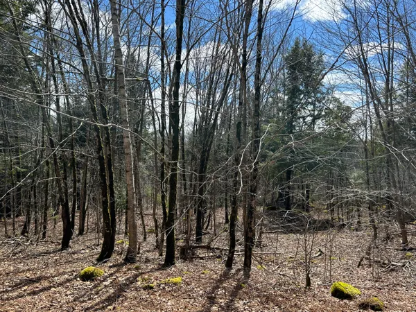 $195,000 | Lot 1 Waldoboro Road, Washington, ME 04574