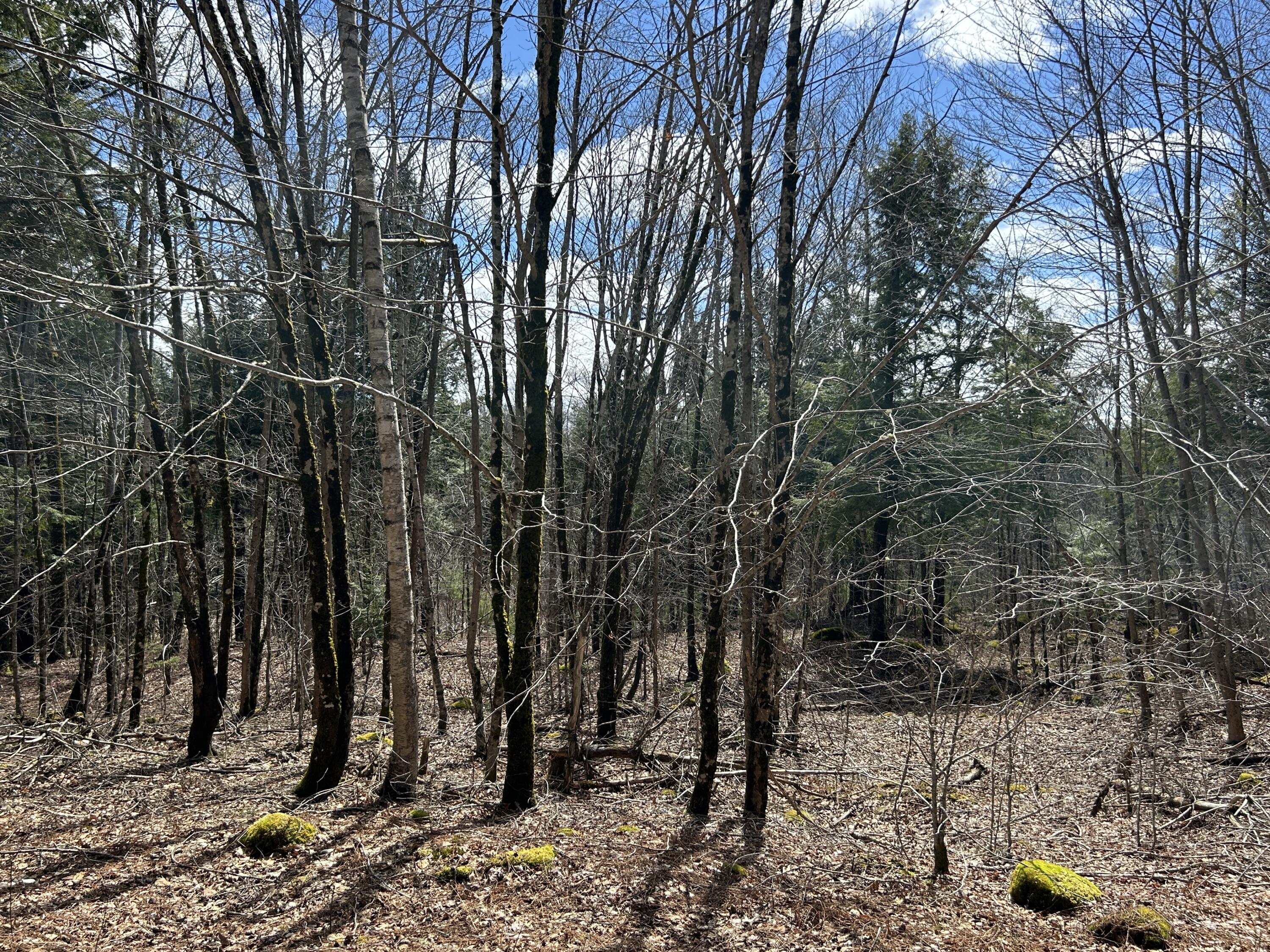 Lot 1 Waldoboro Road Washington, ME 04574 - Photo 23 of 32 IMG_7561