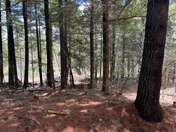 $195,000 | Lot 1 Waldoboro Road, Washington, ME 04574