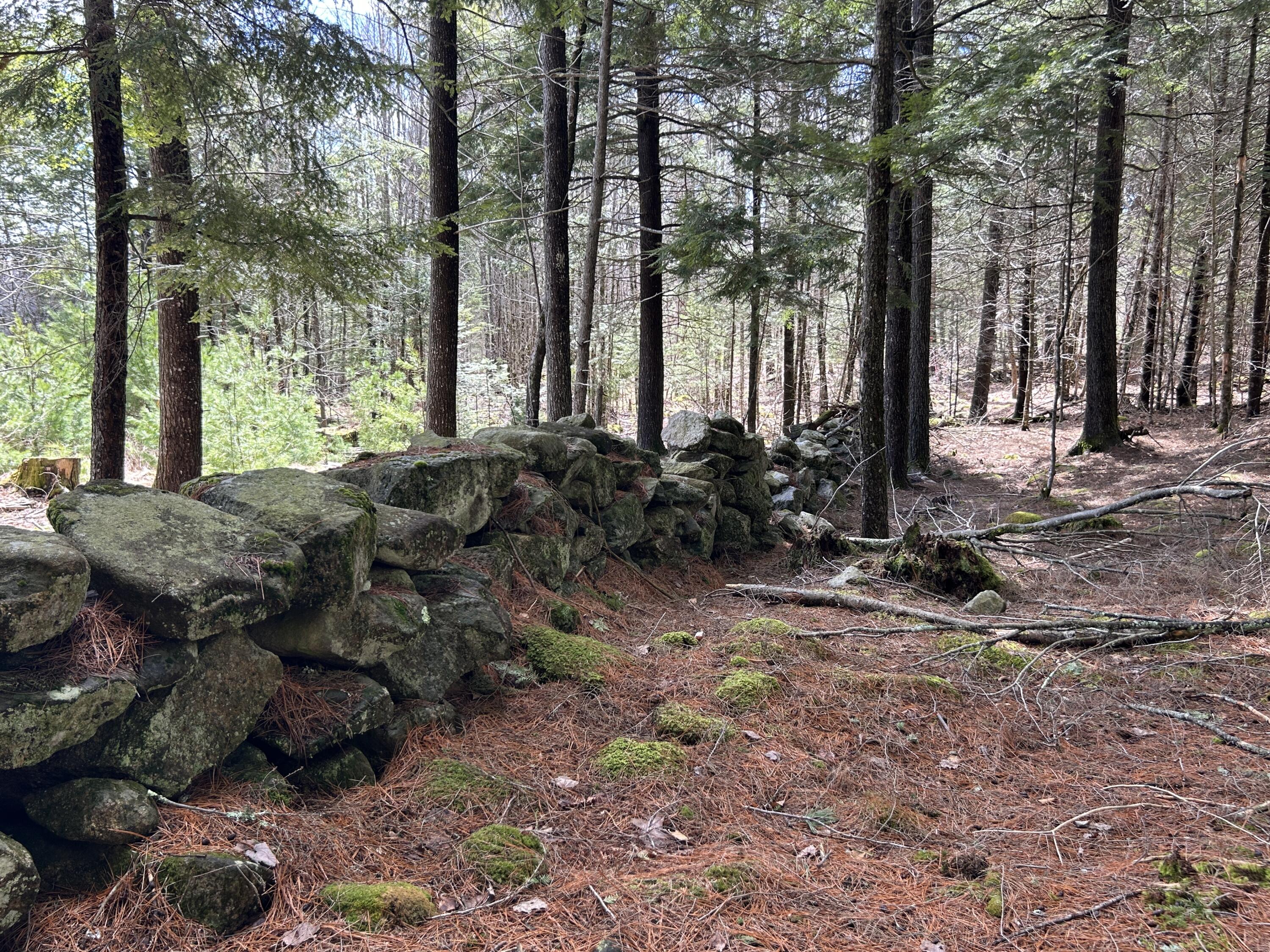 Lot 1 Waldoboro Road Washington, ME 04574 - Photo 25 of 32 IMG_7570