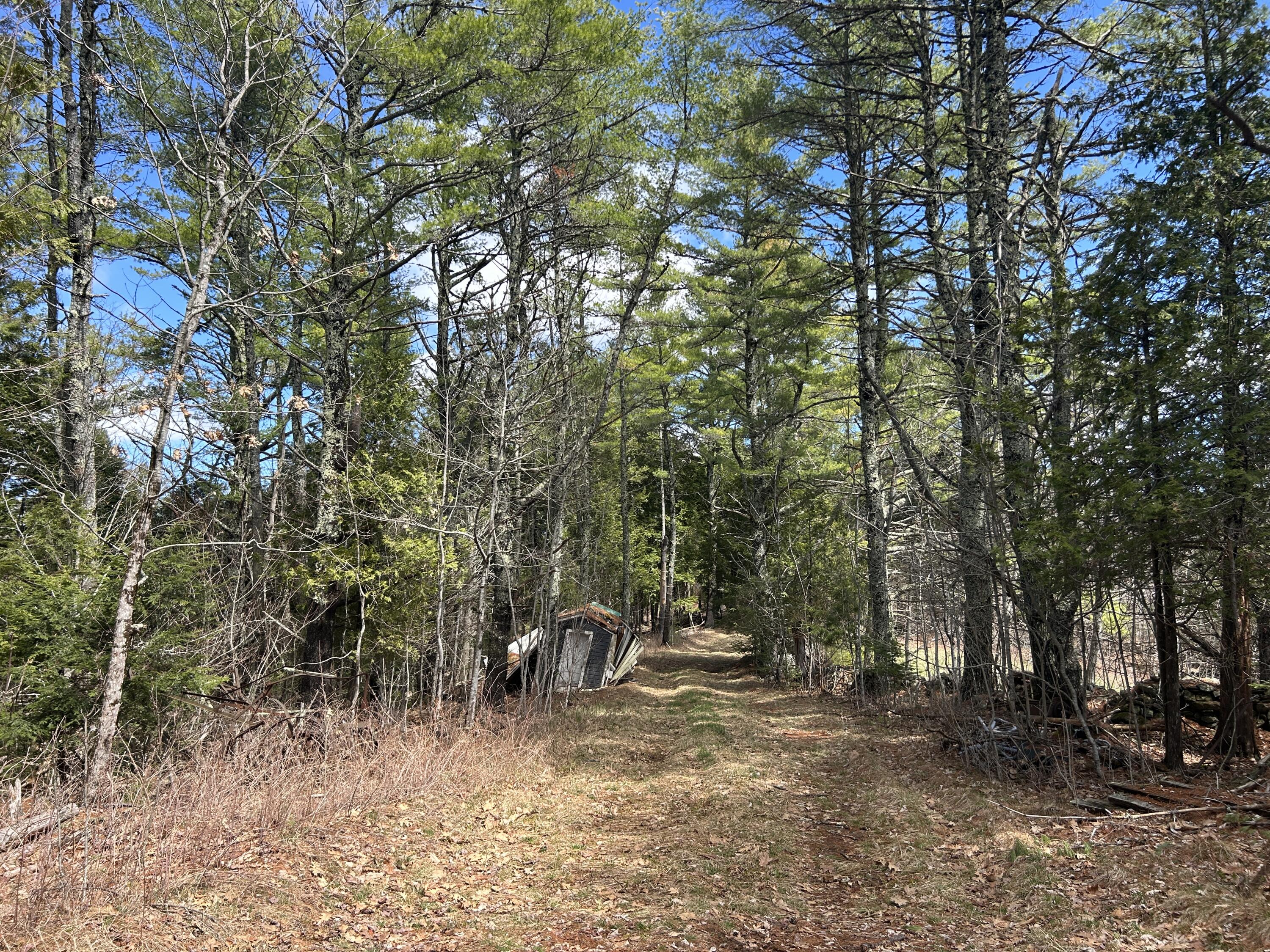 Lot 1 Waldoboro Road Washington, ME 04574 - Photo 8 of 32 IMG_7531