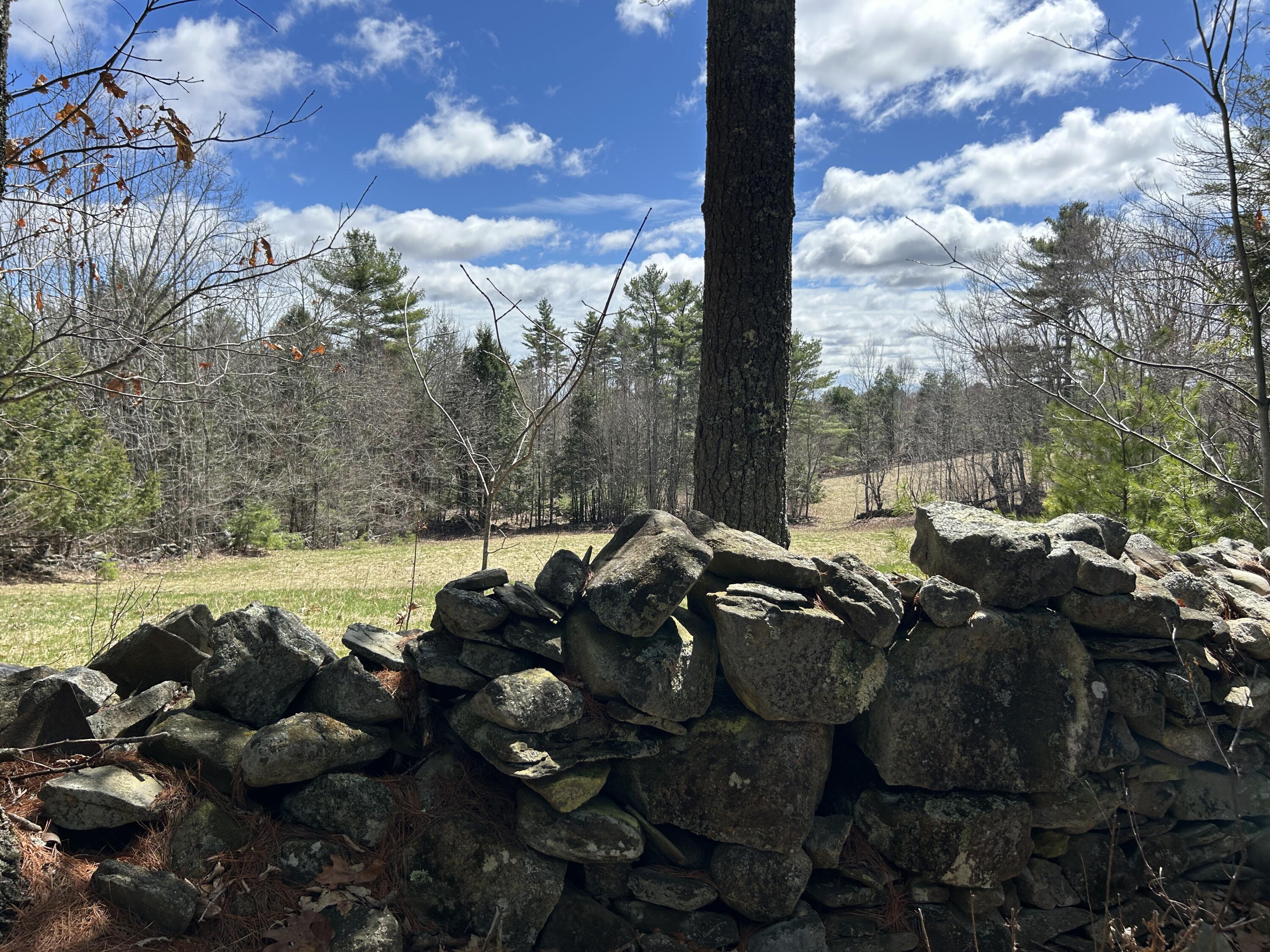 Lot 1 Waldoboro Road Washington, ME 04574 - Photo 9 of 32 IMG_7578