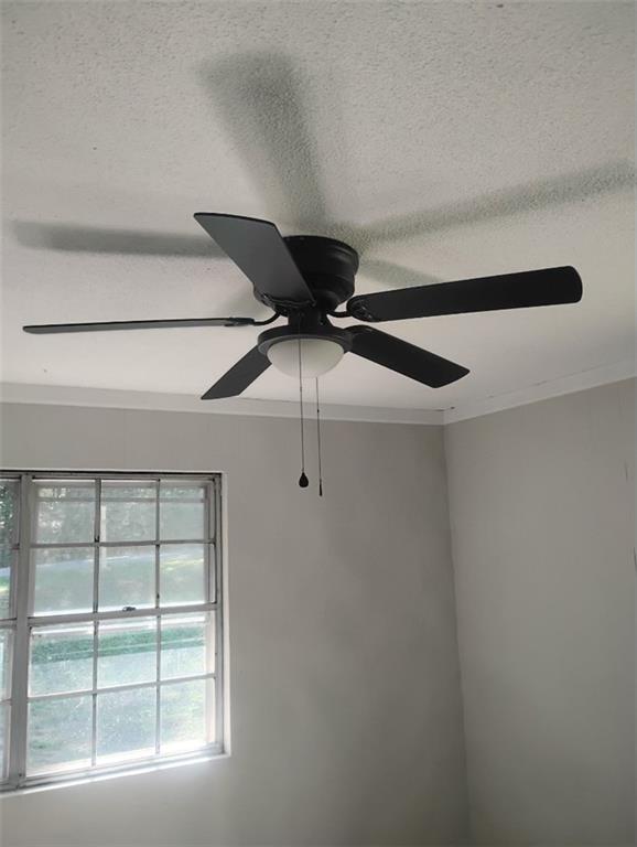 120 Foothill Drive Dalton, GA 30720 - Photo 53 of 55 a picture of a window