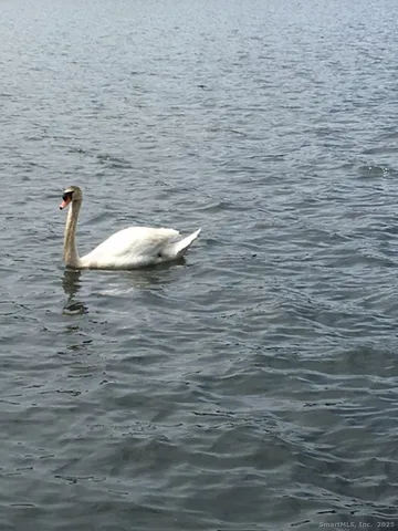 $689,000 | 124 East Street, Wolcott, CT 06716