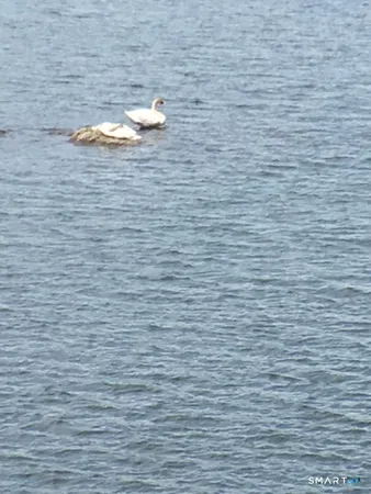 a view of multiple houses with outdoor space