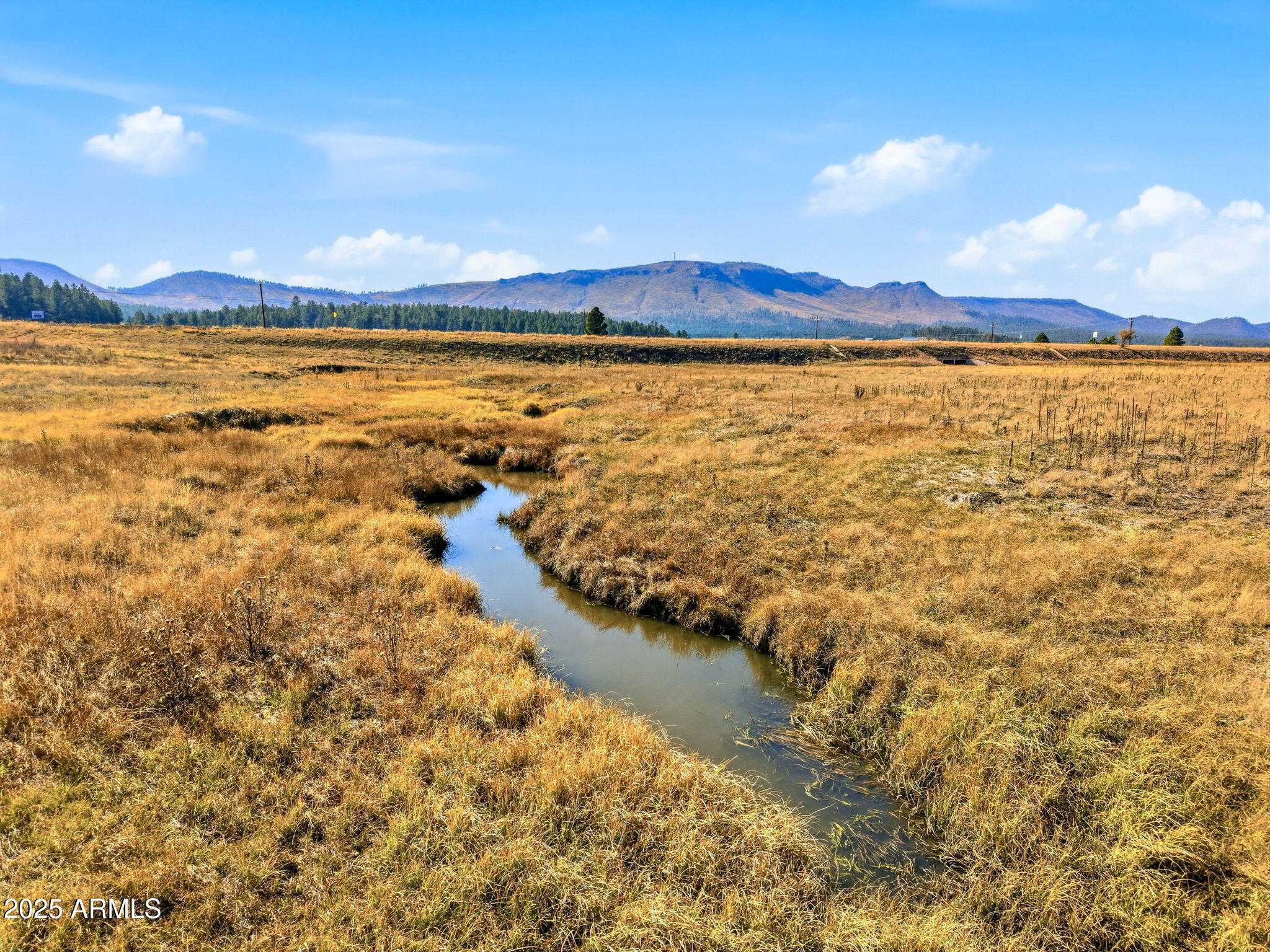 Lot 35 The Ranch, Unit 35 Alpine, AZ 85920 - Photo 21 of 21 a view of an ocean and beach