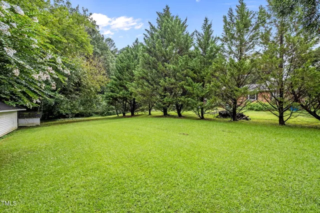 a view of a field with trees
