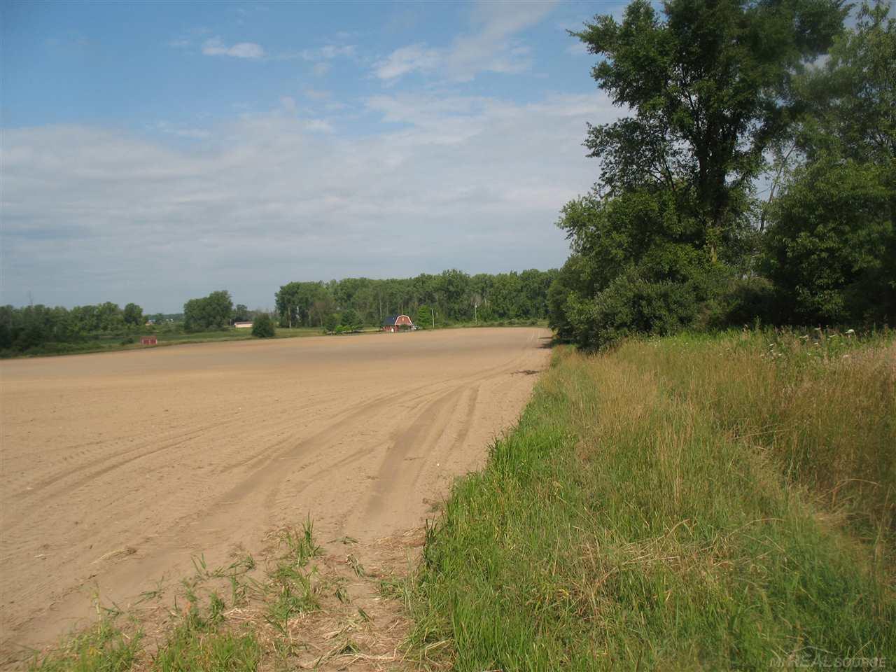 375 Charleston Road Ubly, MI 48475 - Photo 51 of 67 31380513-50.JPG