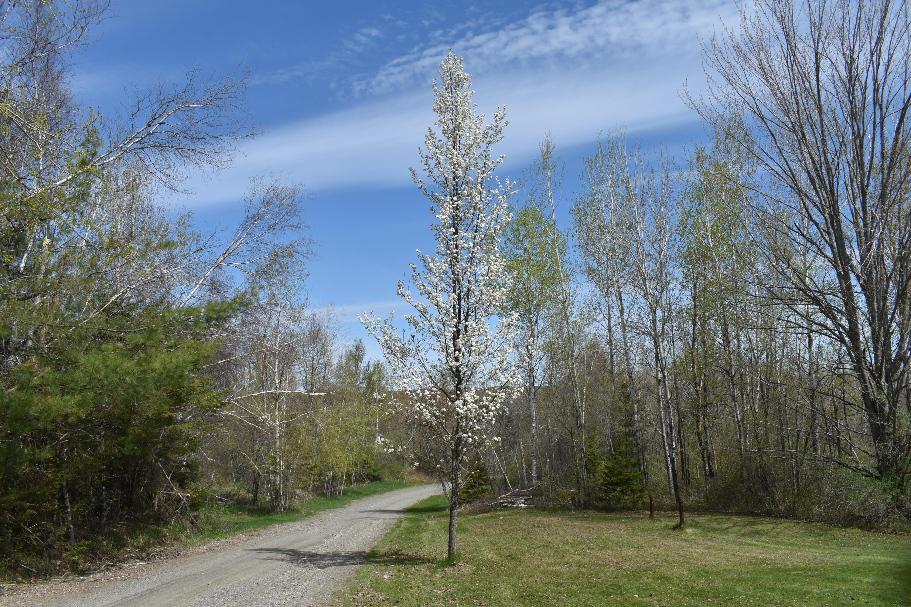 50 Old Farm Road Plymouth, ME 04969 - Photo 33 of 50 DSC_0064