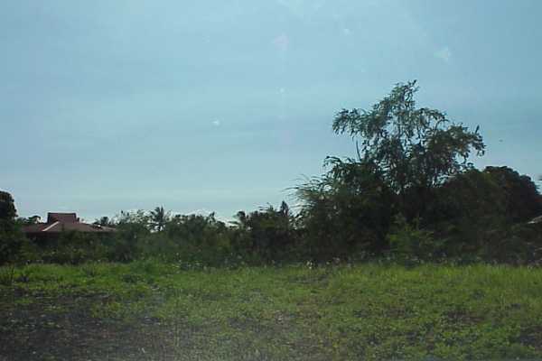 2 B Napoopoo Road Captain Cook, HI 96704 - Photo 2 of 9 Gallery Image 2