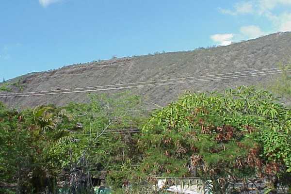 2 B Napoopoo Road Captain Cook, HI 96704 - Photo 3 of 9 Gallery Image 3
