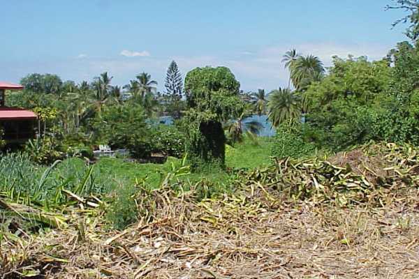 2 B Napoopoo Road Captain Cook, HI 96704 - Photo 6 of 9 Gallery Image 6