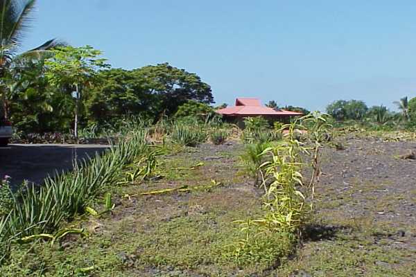 2 B Napoopoo Road Captain Cook, HI 96704 - Photo 7 of 9 Gallery Image 7