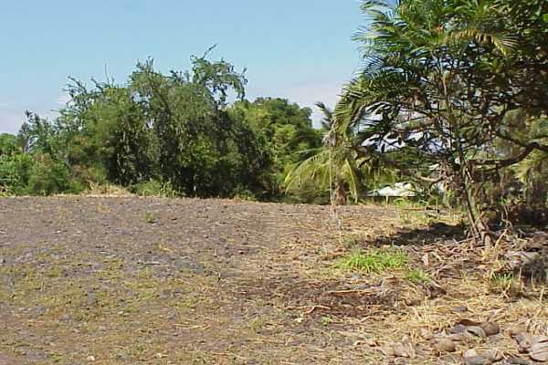 2 B Napoopoo Road Captain Cook, HI 96704 - Photo 8 of 9 Gallery Image 8