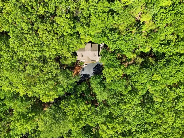 a backyard