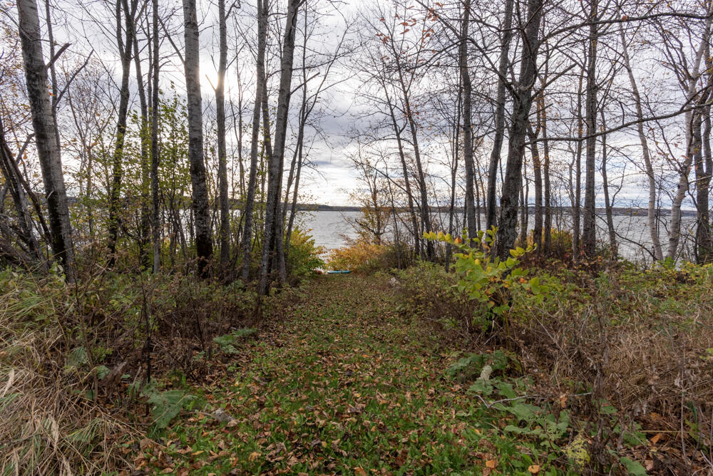 12 Sugartree Road St. David, ME 04773 - Photo 118 of 121 _NIK3466