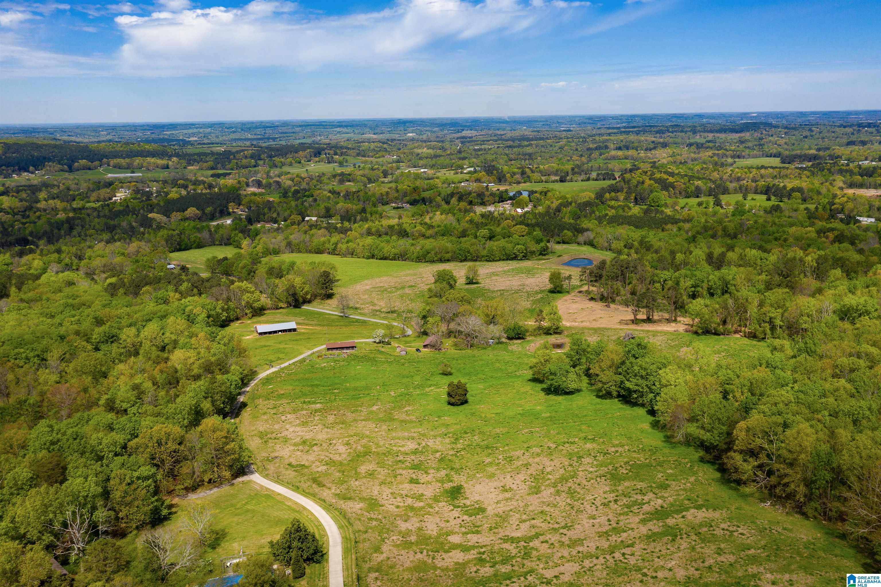 770 Grandview Road Oneonta, AL 35121 - Photo 53 of 55