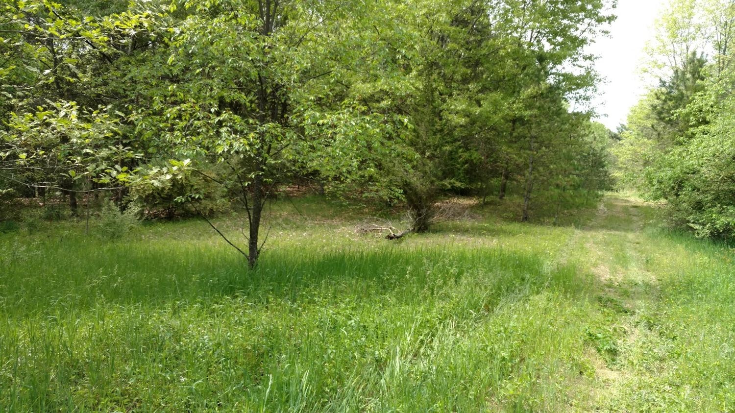0 Hannewald Road Munith, MI 49259 - Photo 2 of 9 Photo 2