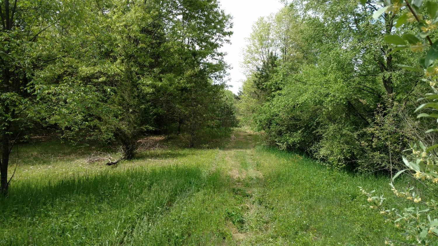 0 Hannewald Road Munith, MI 49259 - Photo 3 of 9 Photo 3