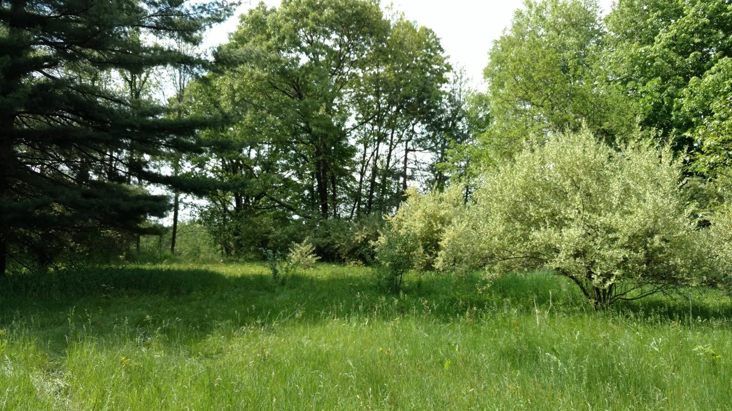 0 Hannewald Road Munith, MI 49259 - Photo 6 of 9 Photo 6
