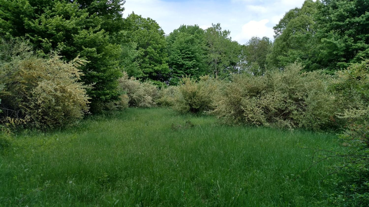 0 Hannewald Road Munith, MI 49259 - Photo 9 of 9 Photo 9