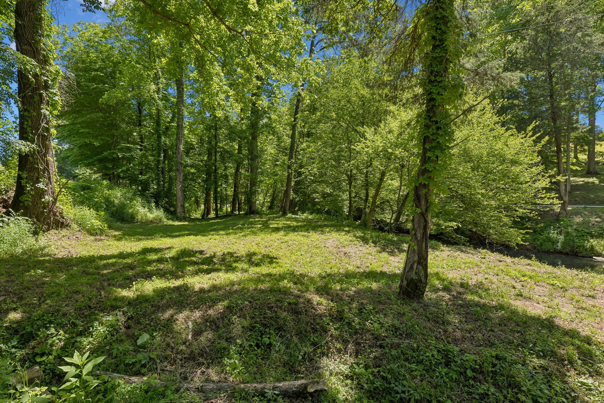 0 Bone Cave Road Rock Island, TN 38581 - Photo 23 of 31 Gallery Image 23