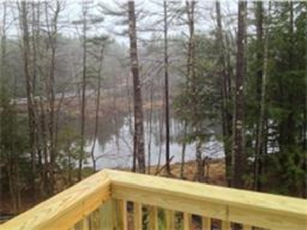 201 Villager Road, Unit 41 Chester, NH 03036 - Photo 3 of 5