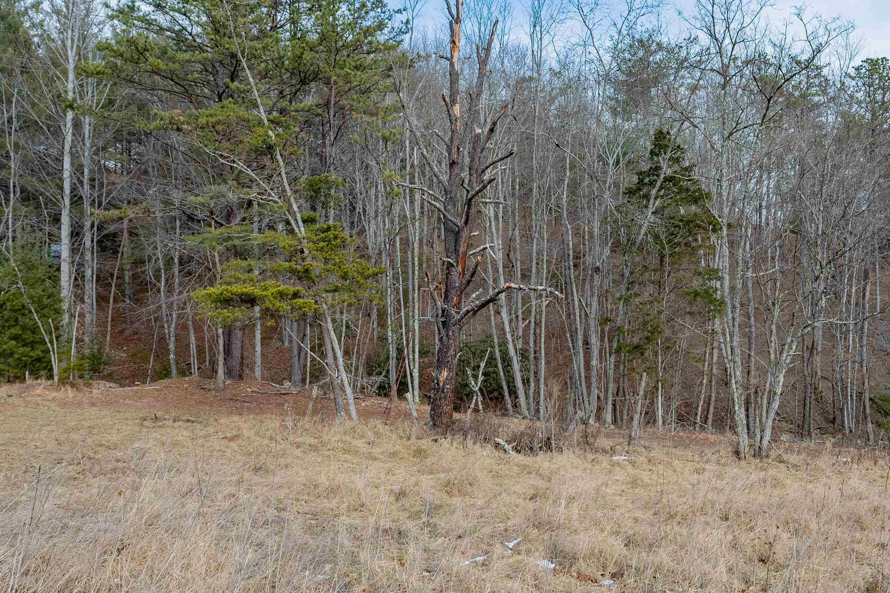 Tbd Spur Branch Road Dublin, VA 24084 - Photo 10 of 84 Gallery Image 10