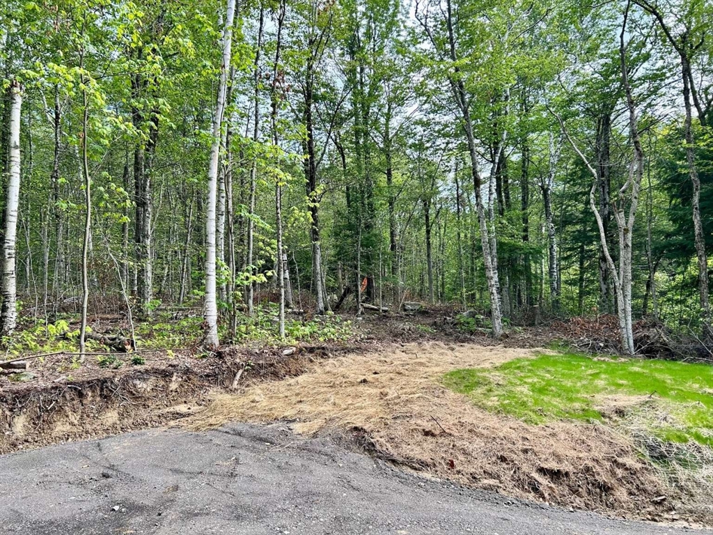 0 East Hoosac Street Adams, MA 01220 - Photo 3 of 5 a backyard of a house with lots of green space