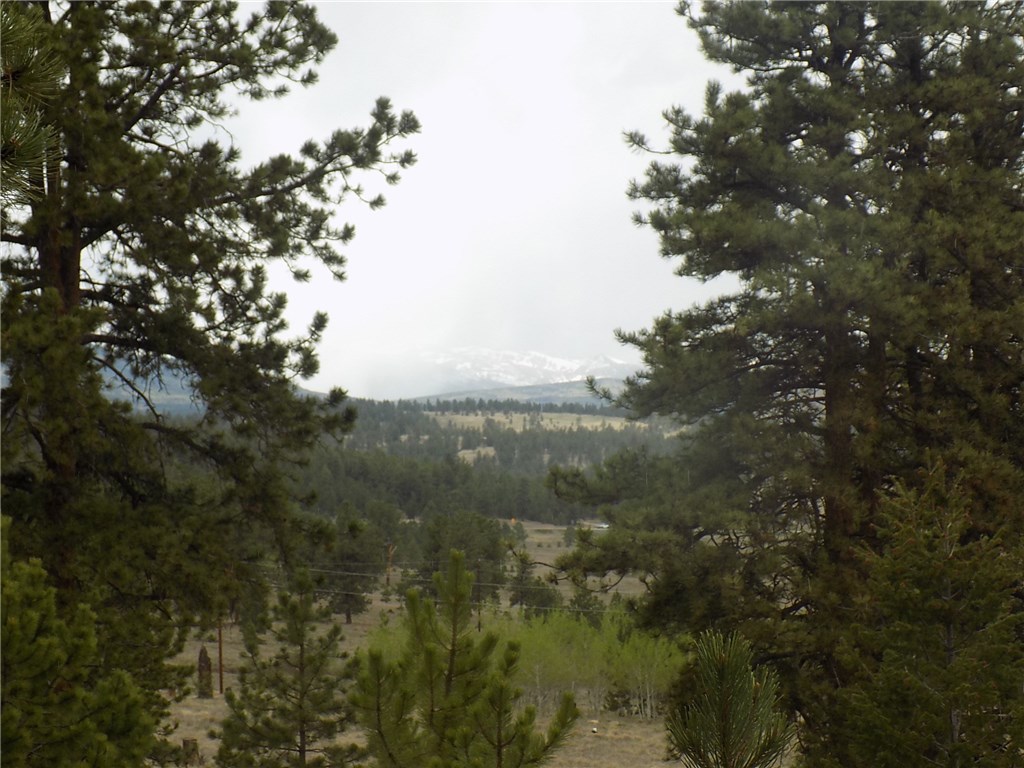 3722 Campfire Road Hartsel, CO 80449 - Photo 3 of 15 Gallery Image 3