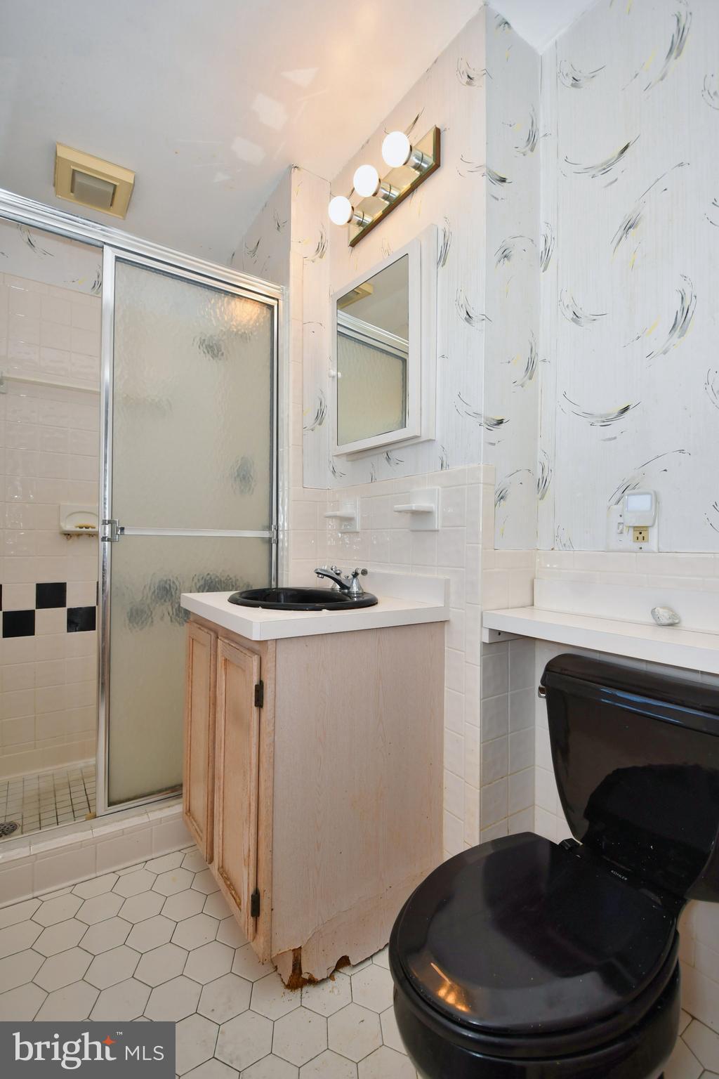 3205 Blue Hill Road Baltimore, MD 21207 - Photo 19 of 39 Primary Bathroom
