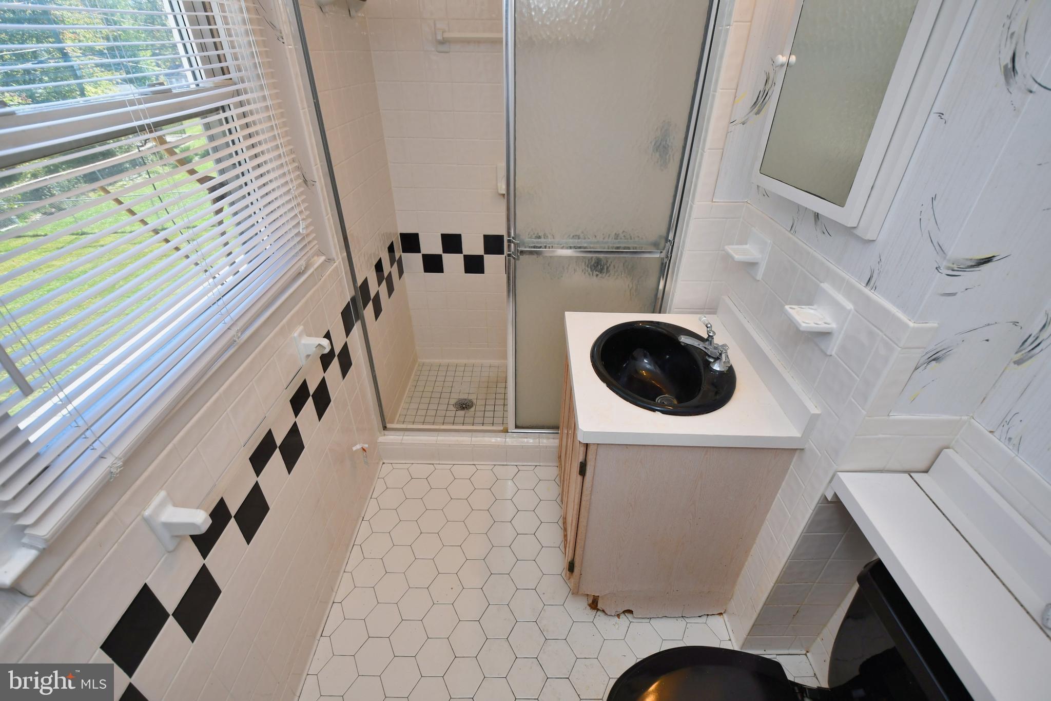 3205 Blue Hill Road Baltimore, MD 21207 - Photo 20 of 39 Primary Bathroom