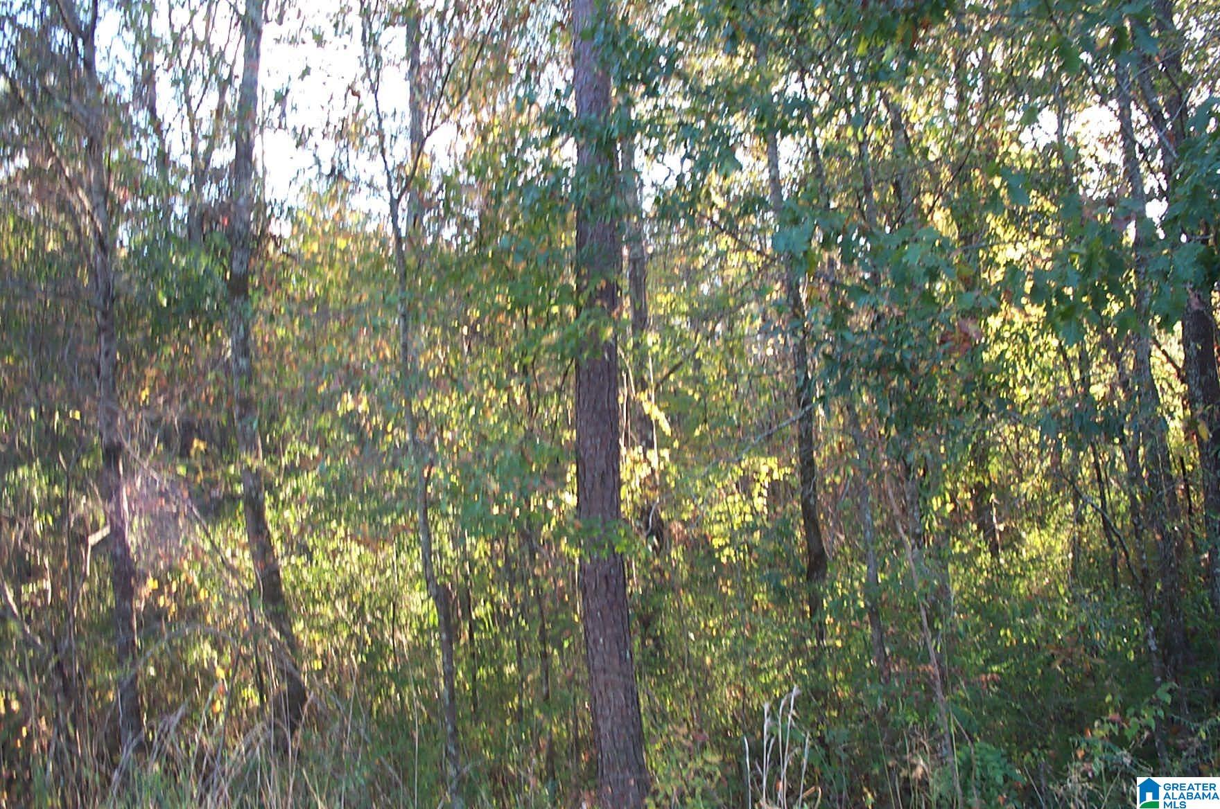 850 Sardis Road, Unit 1 Ashland, AL 36251 - Photo 7 of 10