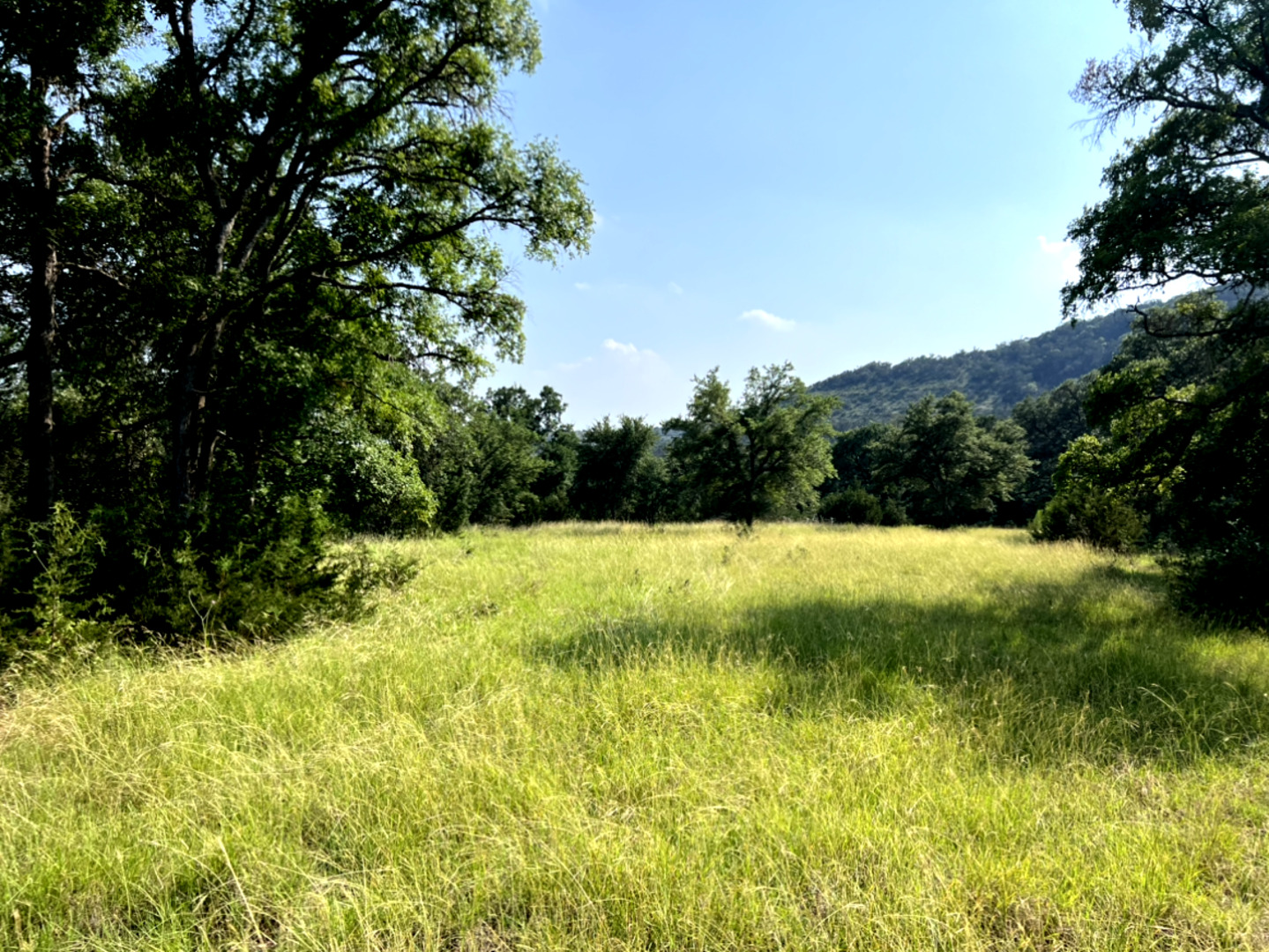 2150 The Low Road San Marcos, TX 78666 - Photo 2 of 6 a view of backyard with swimming pool