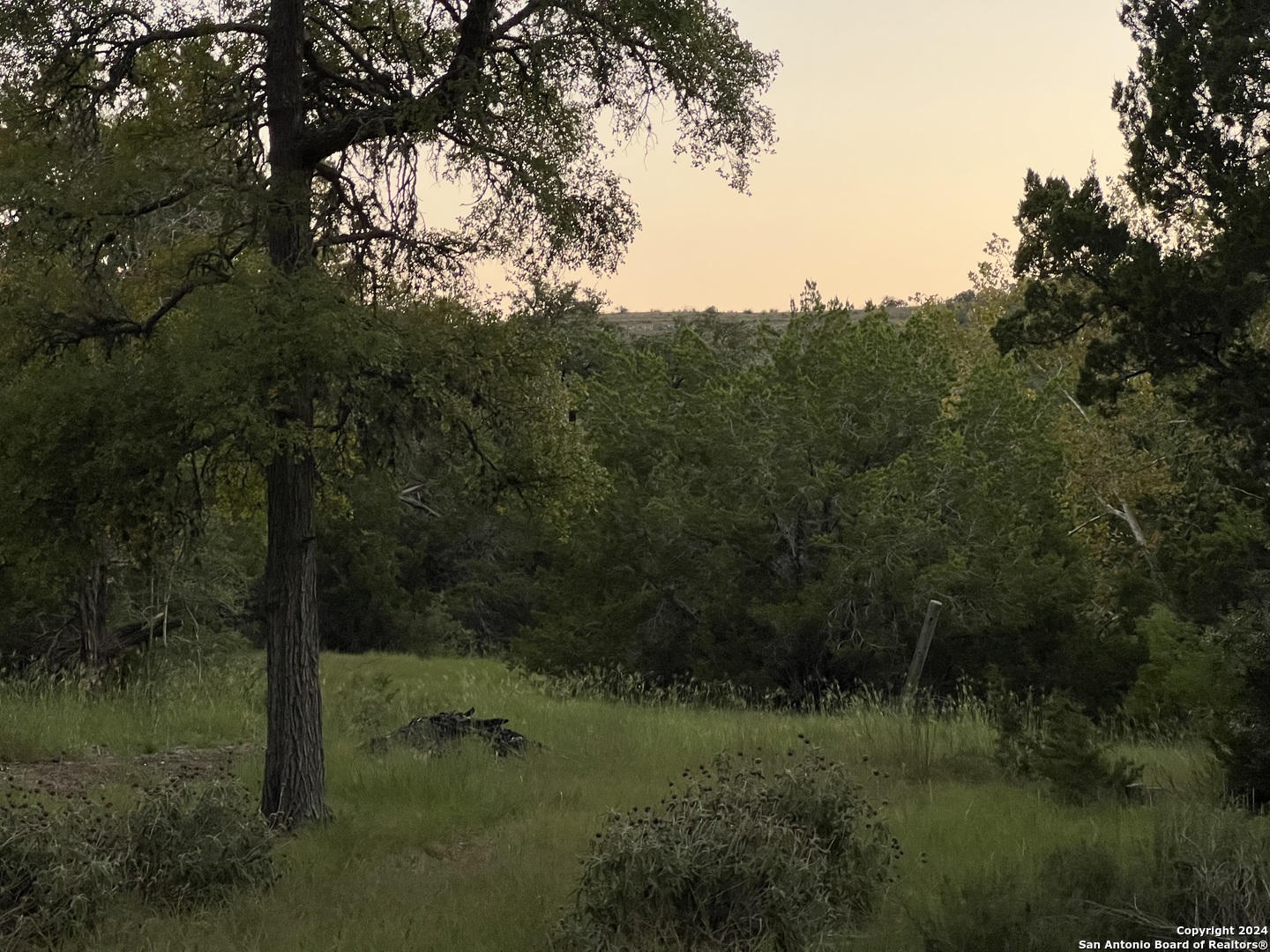 2150 The Low Road San Marcos, TX 78666 - Photo 3 of 6