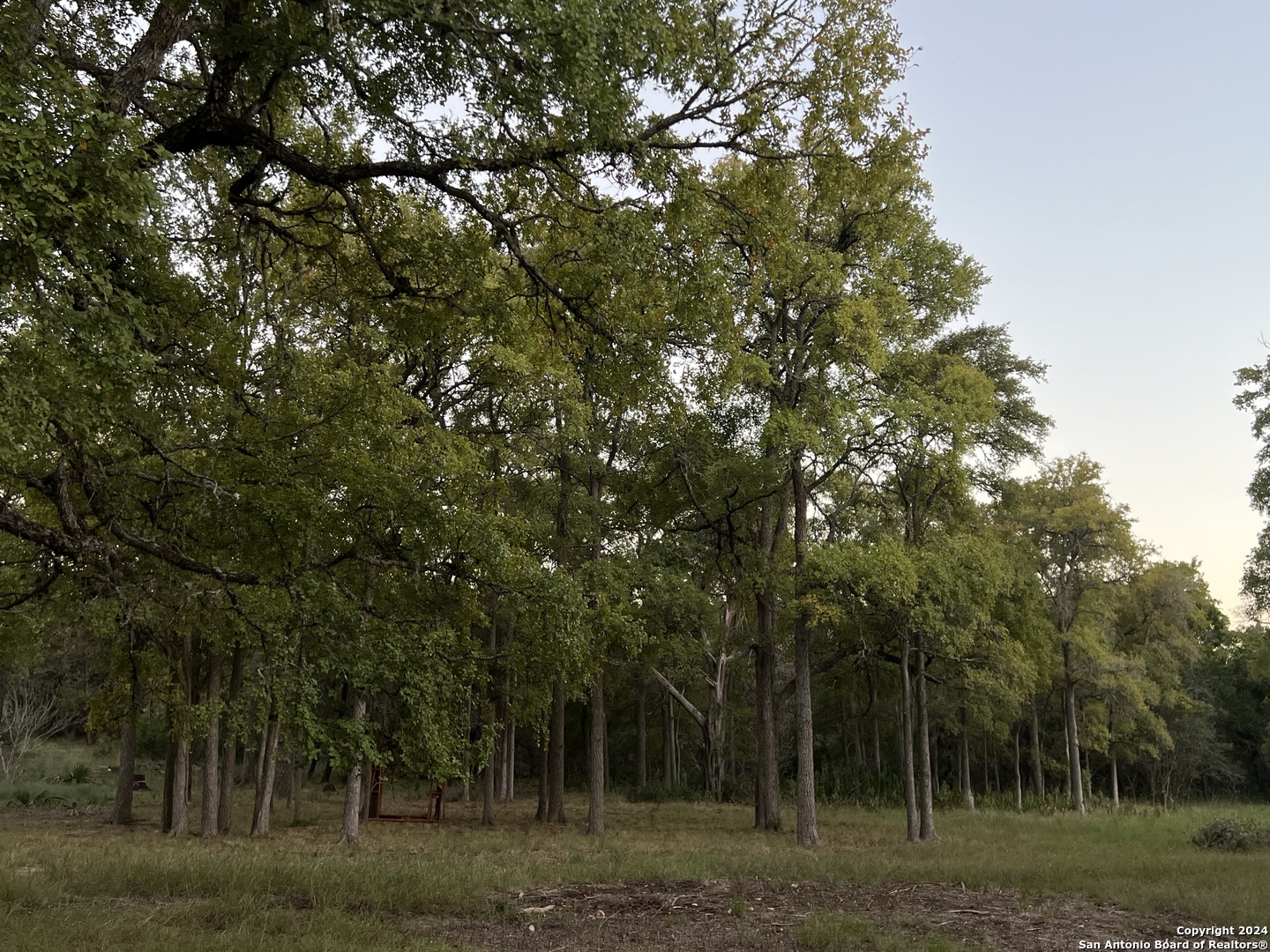 2150 The Low Road San Marcos, TX 78666 - Photo 4 of 6 a view of a outdoor space