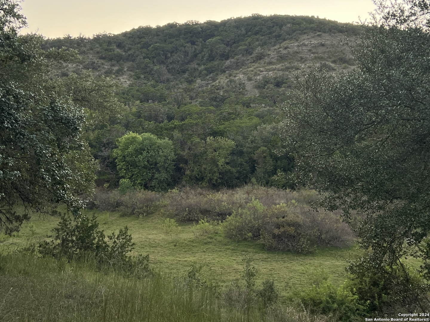 2150 The Low Road San Marcos, TX 78666 - Photo 6 of 6 a view of a forest with a street