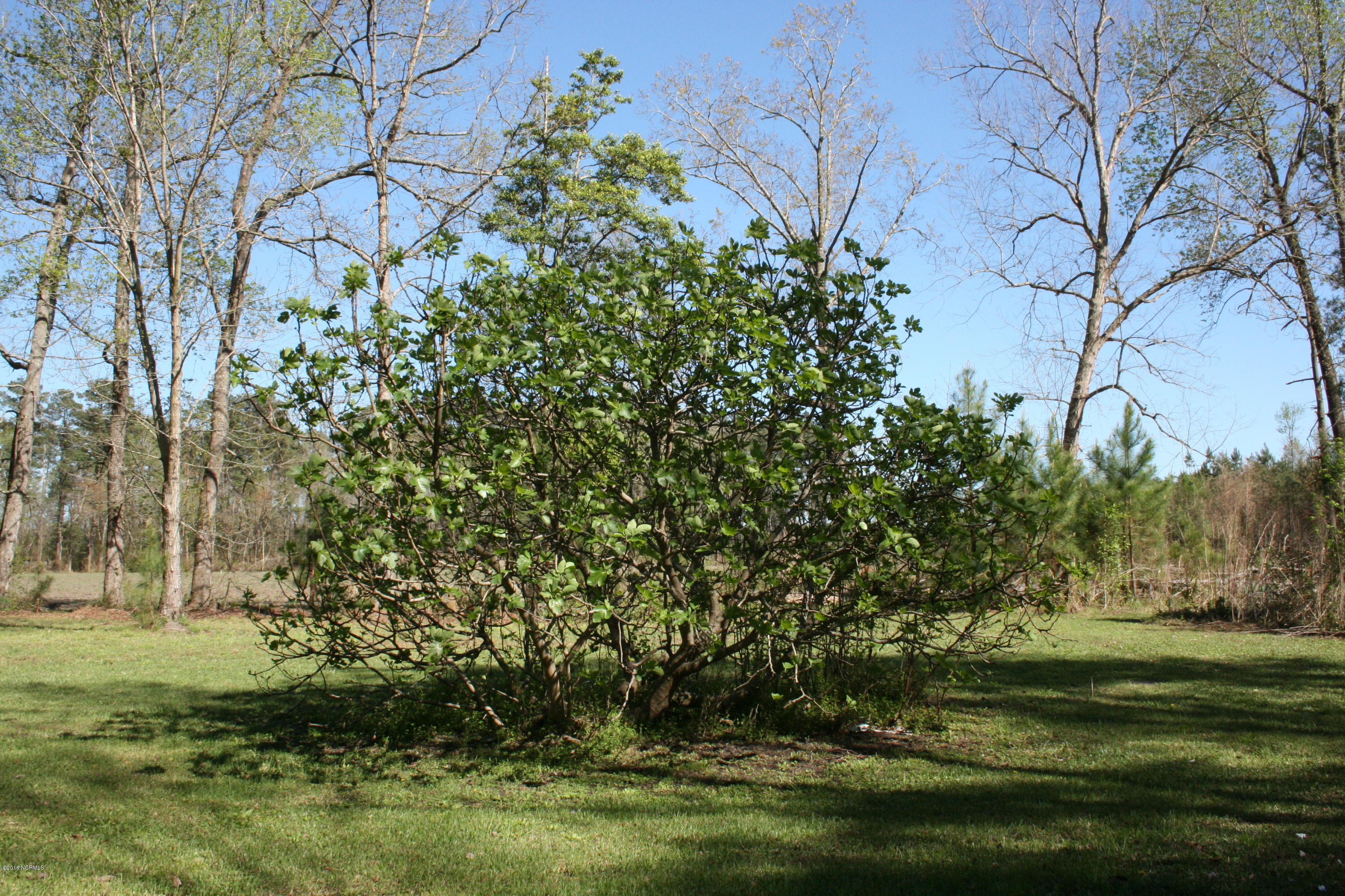 3210 Dover Fort Barnwell Road Dover, NC 28526 - Photo 39 of 39 IMG_114