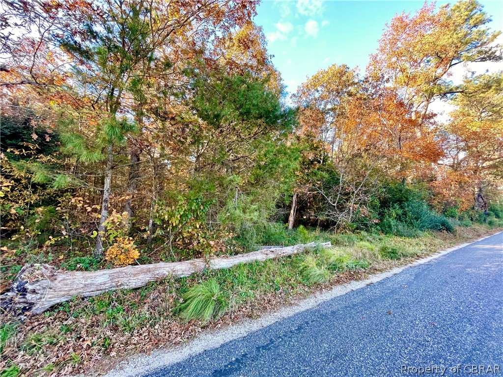 0 Mill Wharf Road Wake, VA 23176 - Photo 3 of 4