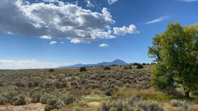 $1,200,000 | Tbd Sligo Street, Cortez, CO 81321
