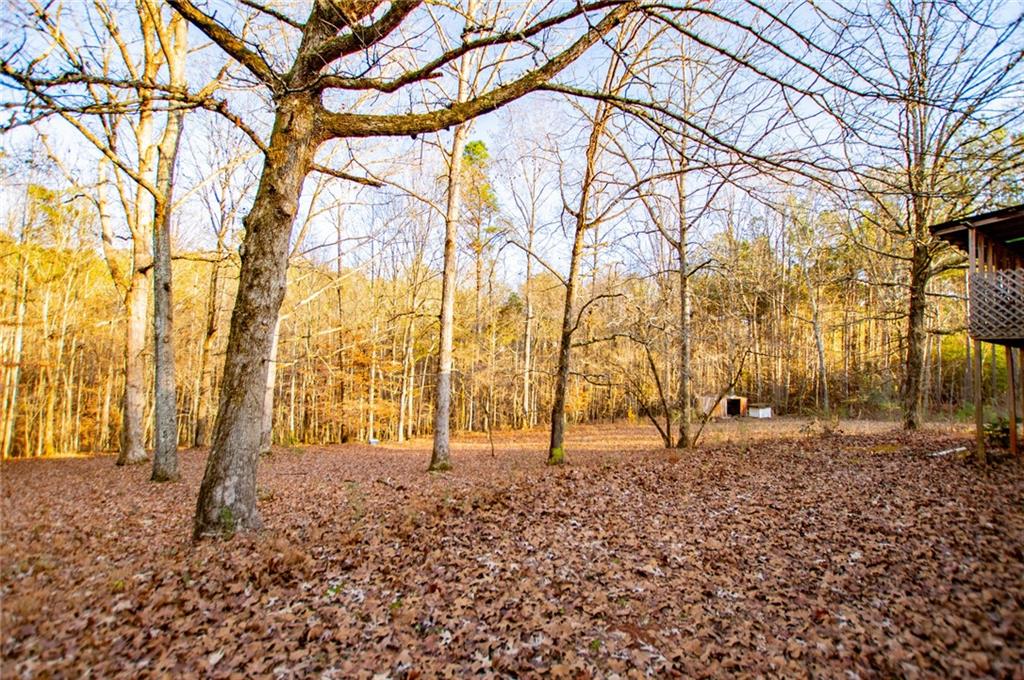 5166 Liberty Road Villa Rica, GA 30180 - Photo 48 of 52 a backyard of a house with lots of green space
