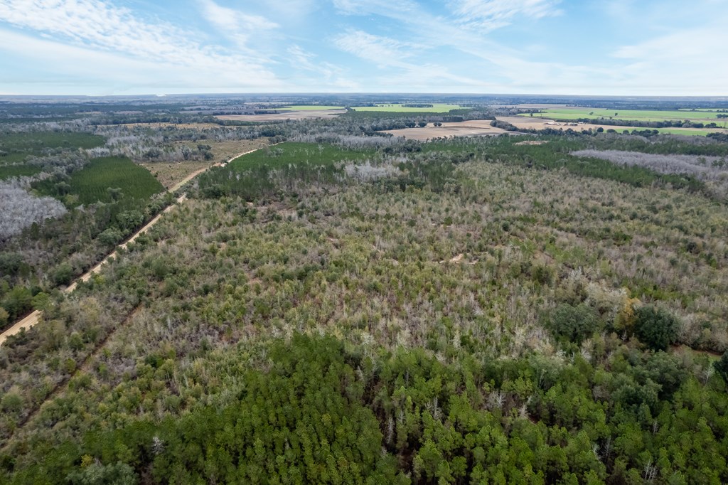 2 Pilgram Ch Road Gordon, AL 36343 - Photo 8 of 17