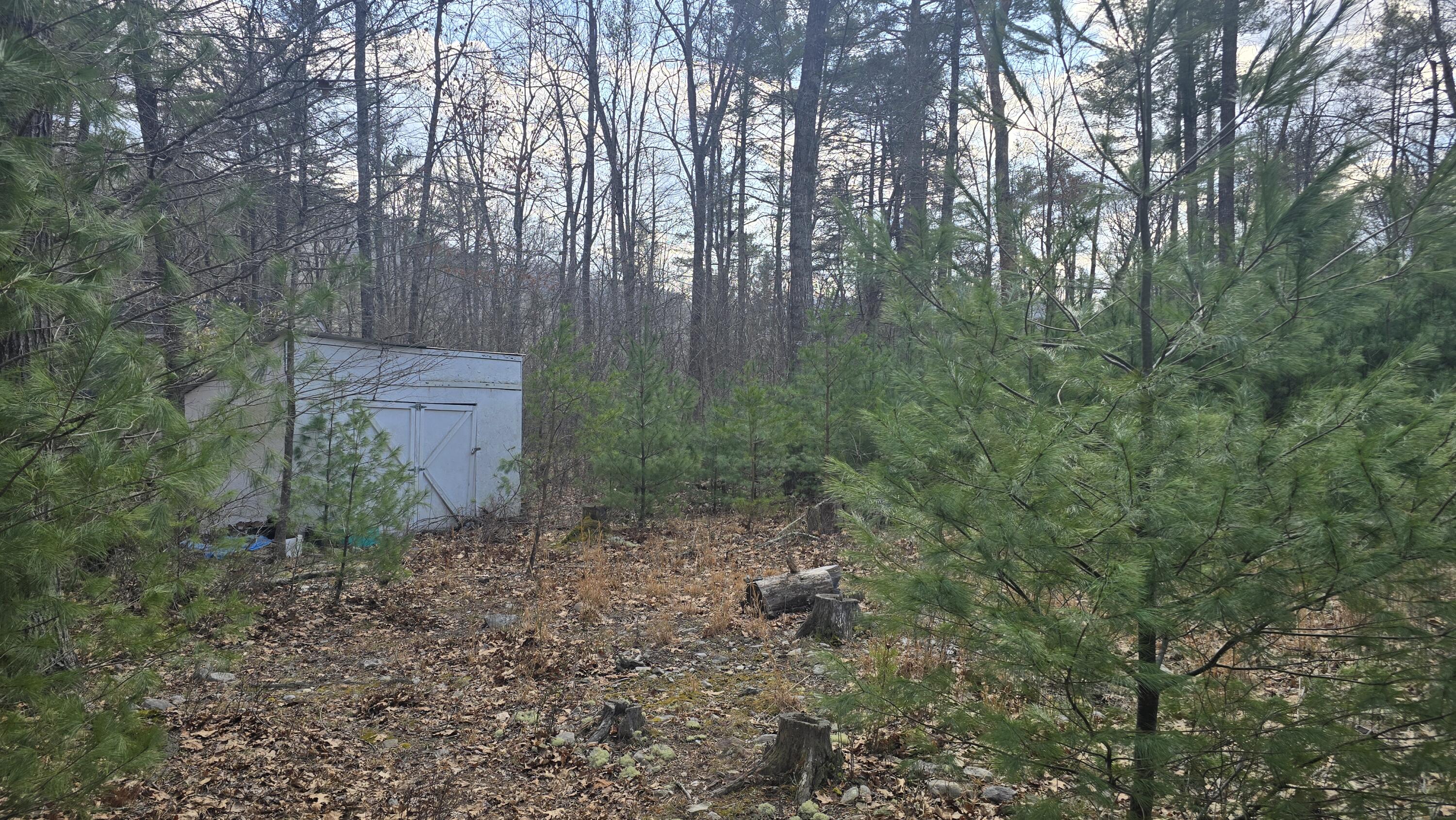 2280 Jennings Road Shawsville, VA 24162 - Photo 2 of 4 a backyard of a house with lots of green space