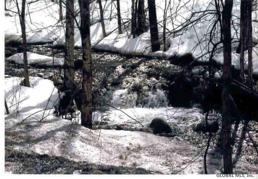 0 Lot Road Hartford, NY 12838 - Photo 1 of 3 Photo 1