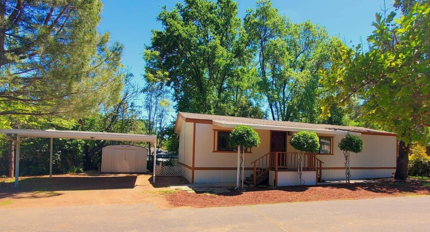 a view of a backyard with a large tree and wooden fence