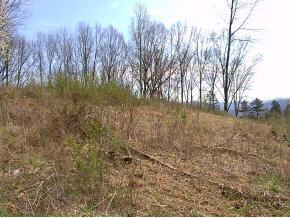 2 B Zeb Grindstaff Road Elizabethton, TN 37643 - Photo 1 of 1 Photo 1